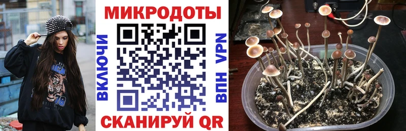 Галлюциногенные грибы мицелий  Харабали 